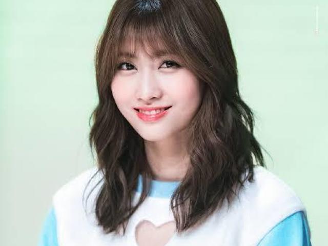 •Momo• {Twice}