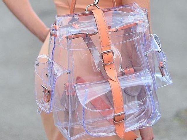 Bolsa Transparente