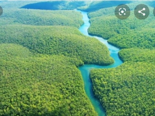 Amazonas