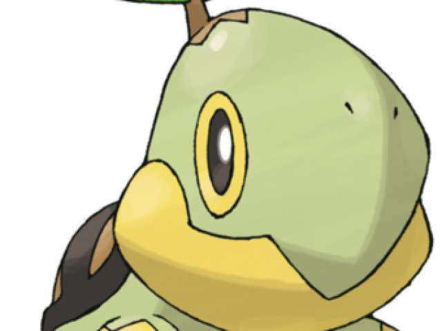Turtwig