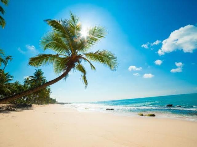Uma praia