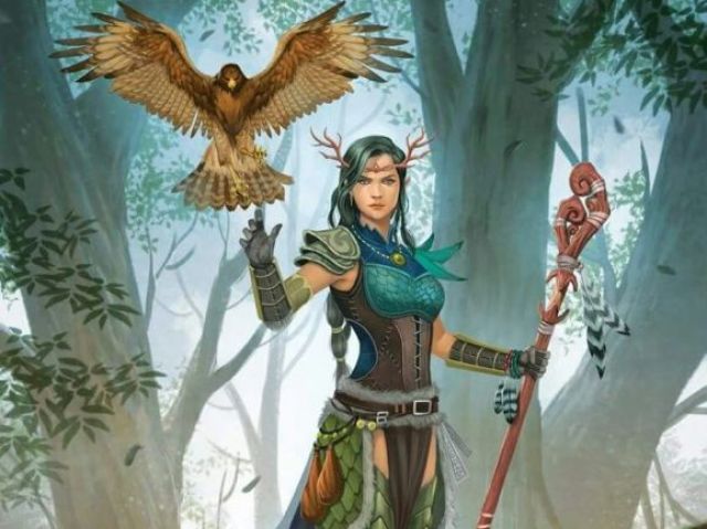 Druida