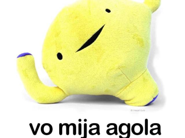 vo mija agola