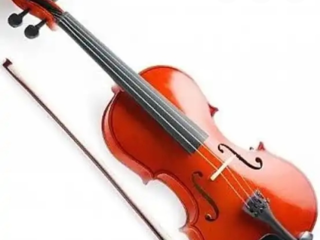 Violino