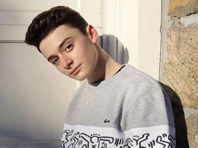 Você tirou o Noah Schnapp!