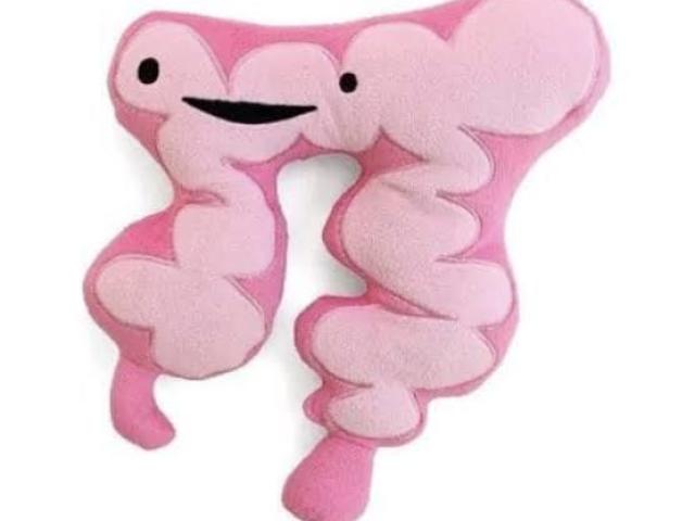Intestino
(Quelo Peida)