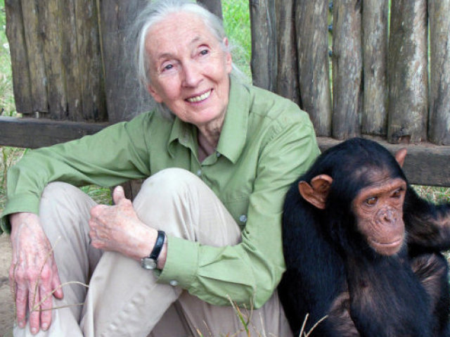 Jane Goodall.