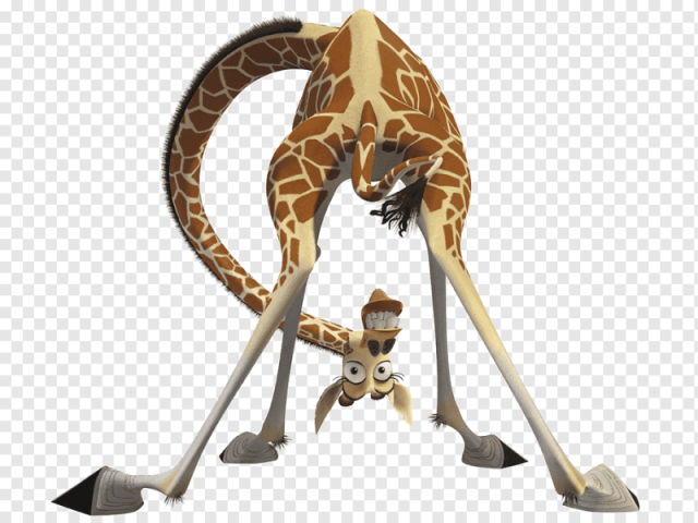 Melman