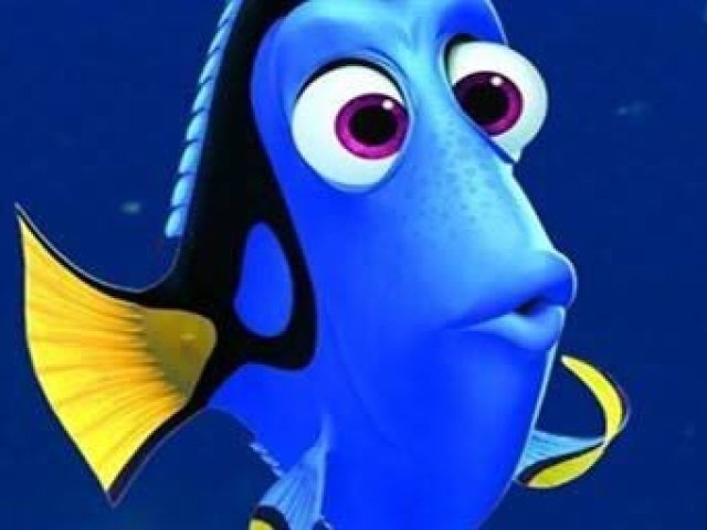 Dory