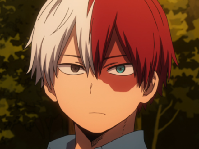 Shoto Todoroki