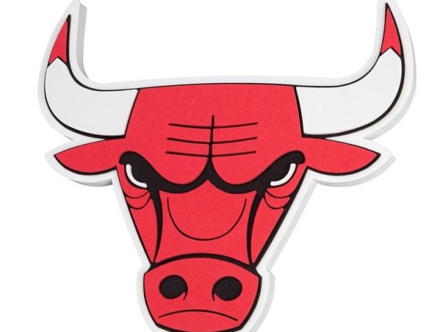 Chicago Bulls