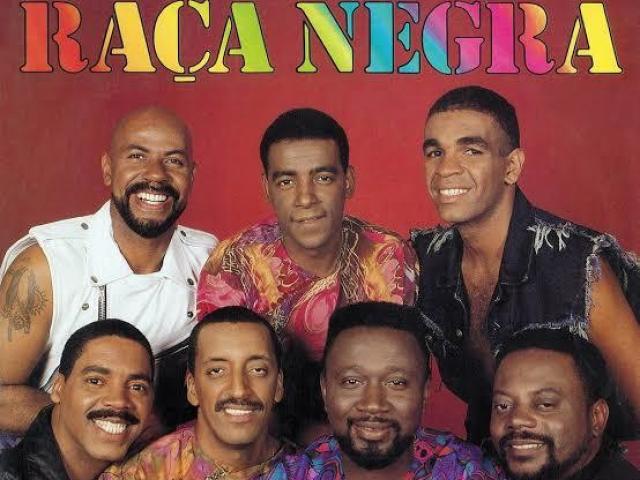 Raça negra