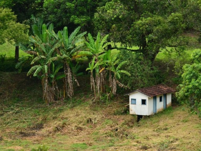 casinha em harmonia com a natureza.