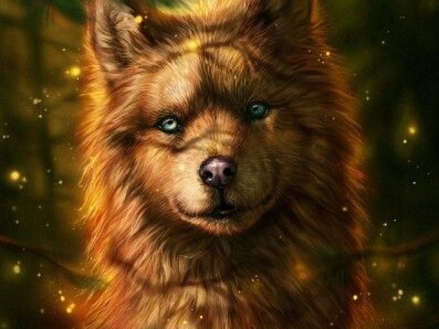 Lobo