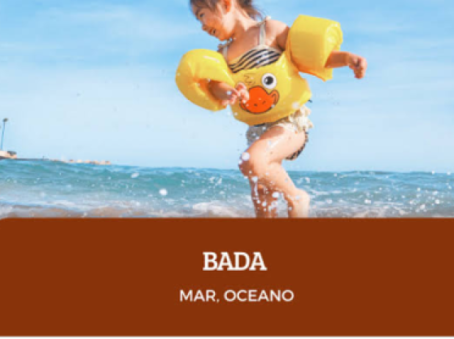 Bada (mar oceano)