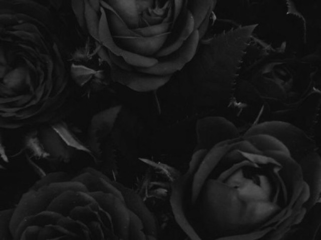 Preto