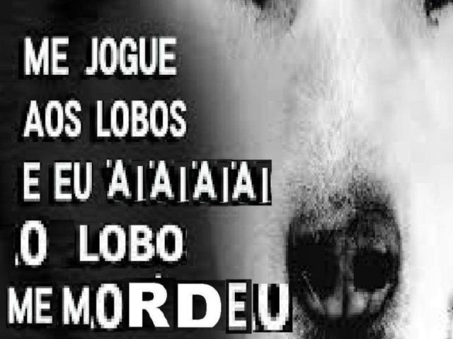 Me jogue aos lobos e eu ai ai ai o lobo me mordeu