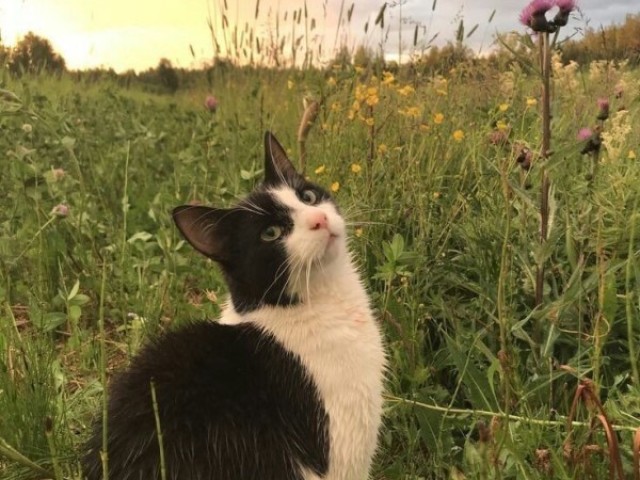 🌻🌻🌻