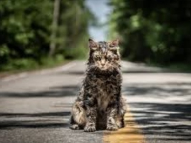 Pet sematary