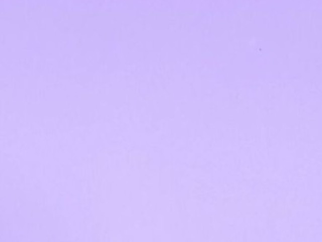 Roxo