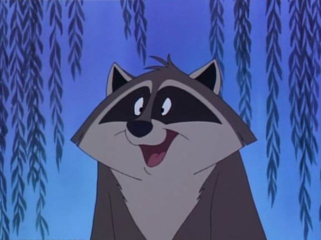 Meeko - Pocahontas