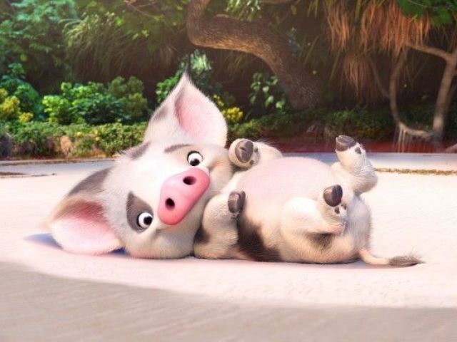 Pua - Moana