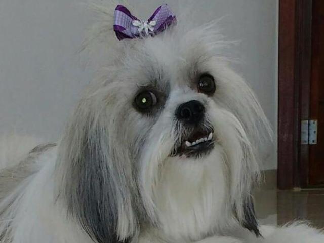 Jully