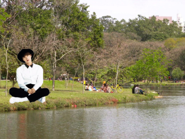Parque Ibirapuera