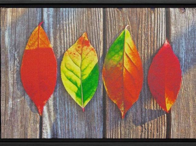 COLORS