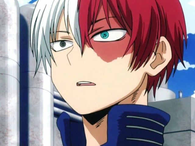 Shoto Todoroki