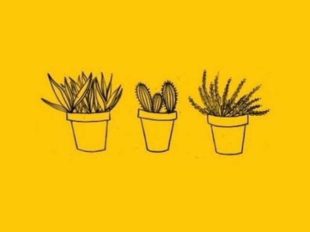 Amarelo