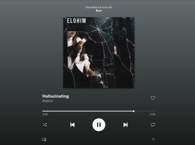 Hallucinating-Elohim