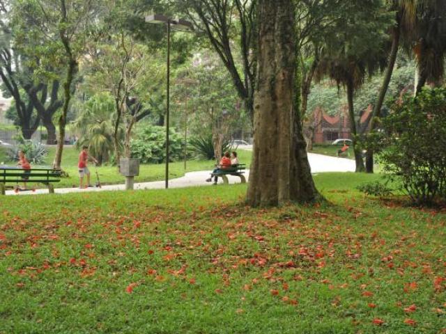 Um piquenique no parque!