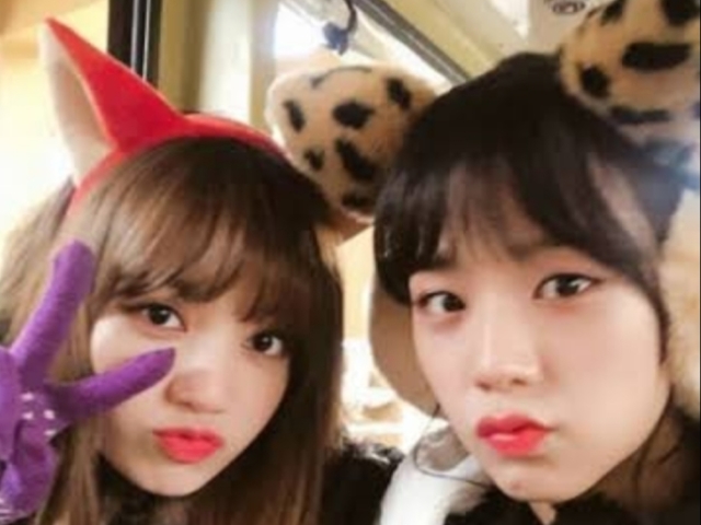 Lisoo