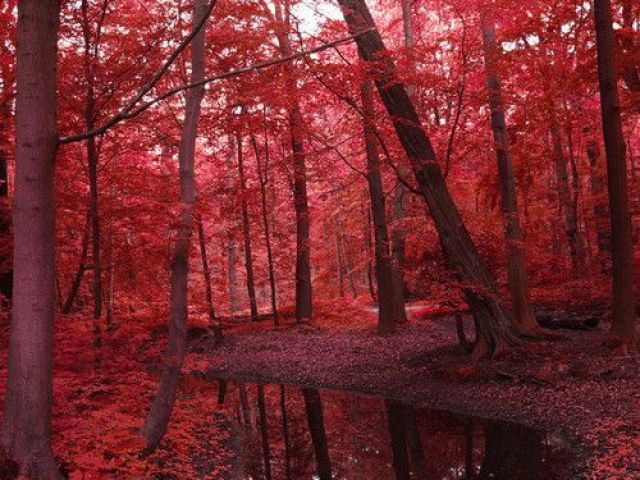 Vermelho.