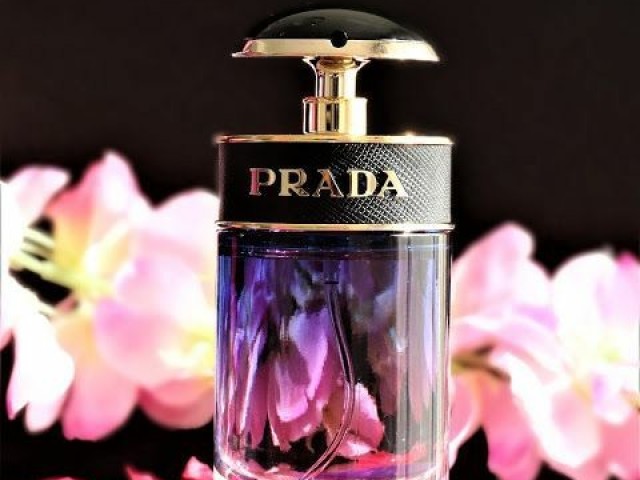 O perfume que ela amou na loja da Prada.