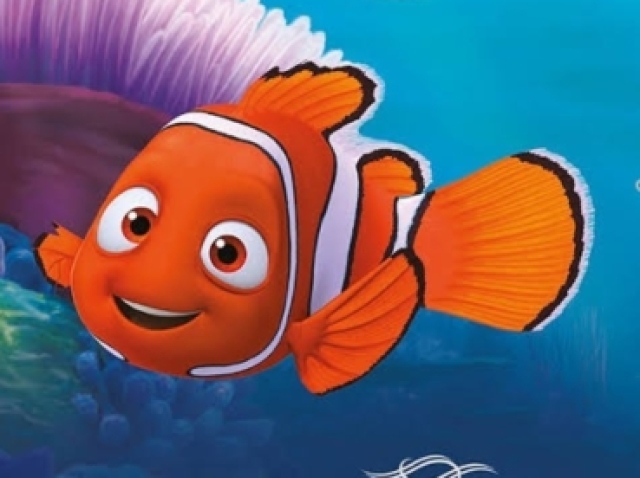 Procurando nemo