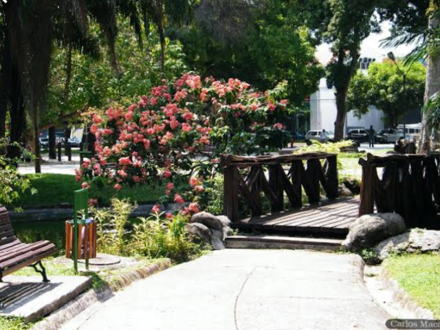 Dar um passeio no parque mesmo