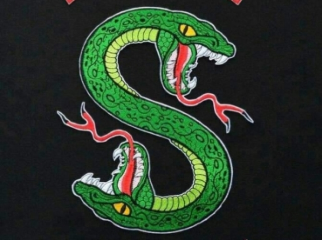 Serpentes do sul