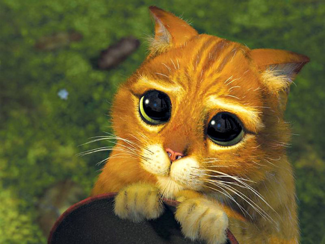 Gato de Botas