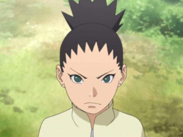 SHIKADAI NARA