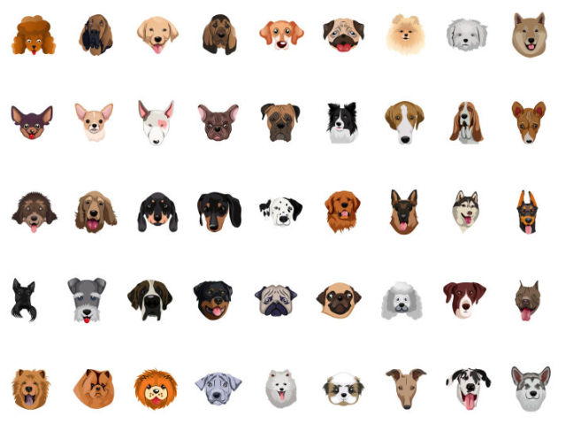 Qual raça de cachorro você seria?