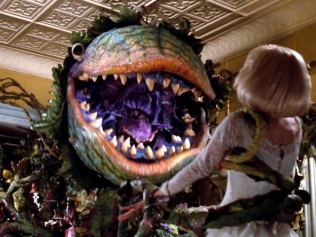 Little shop of horrors