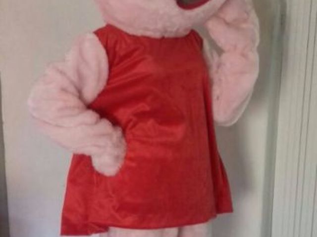 Roupa LACRADORA da Peppa Pig