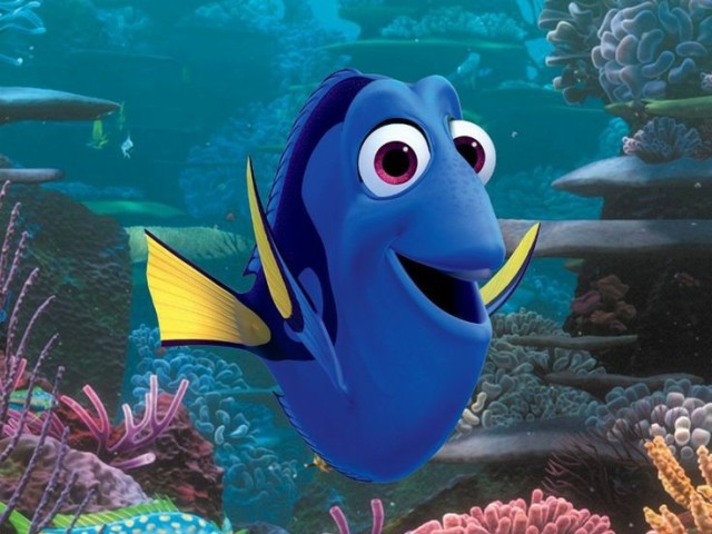 Dory