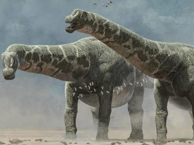 Patagotitan Maiorum