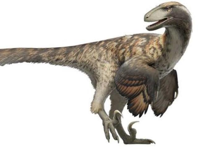 Ultaraptor