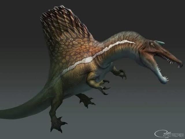 Spinossaurus