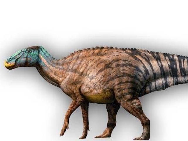 Edmontossaurus