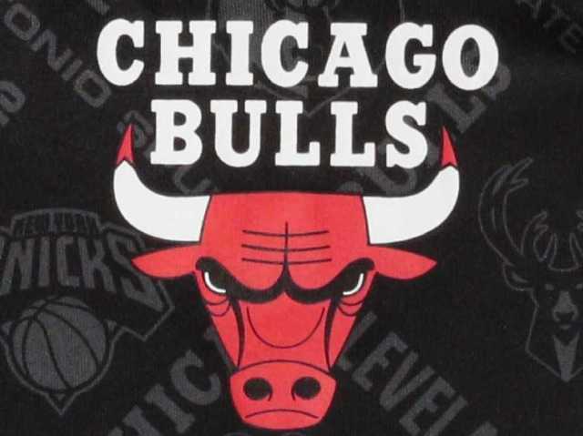 Chicago Bulls